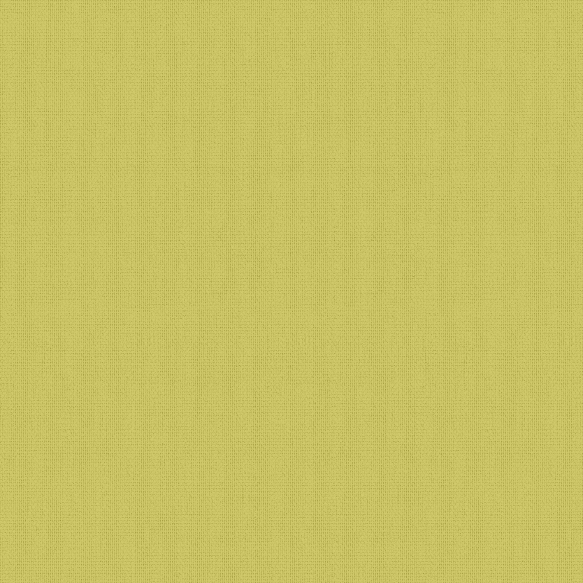 Arona Zest 89mm Louvre